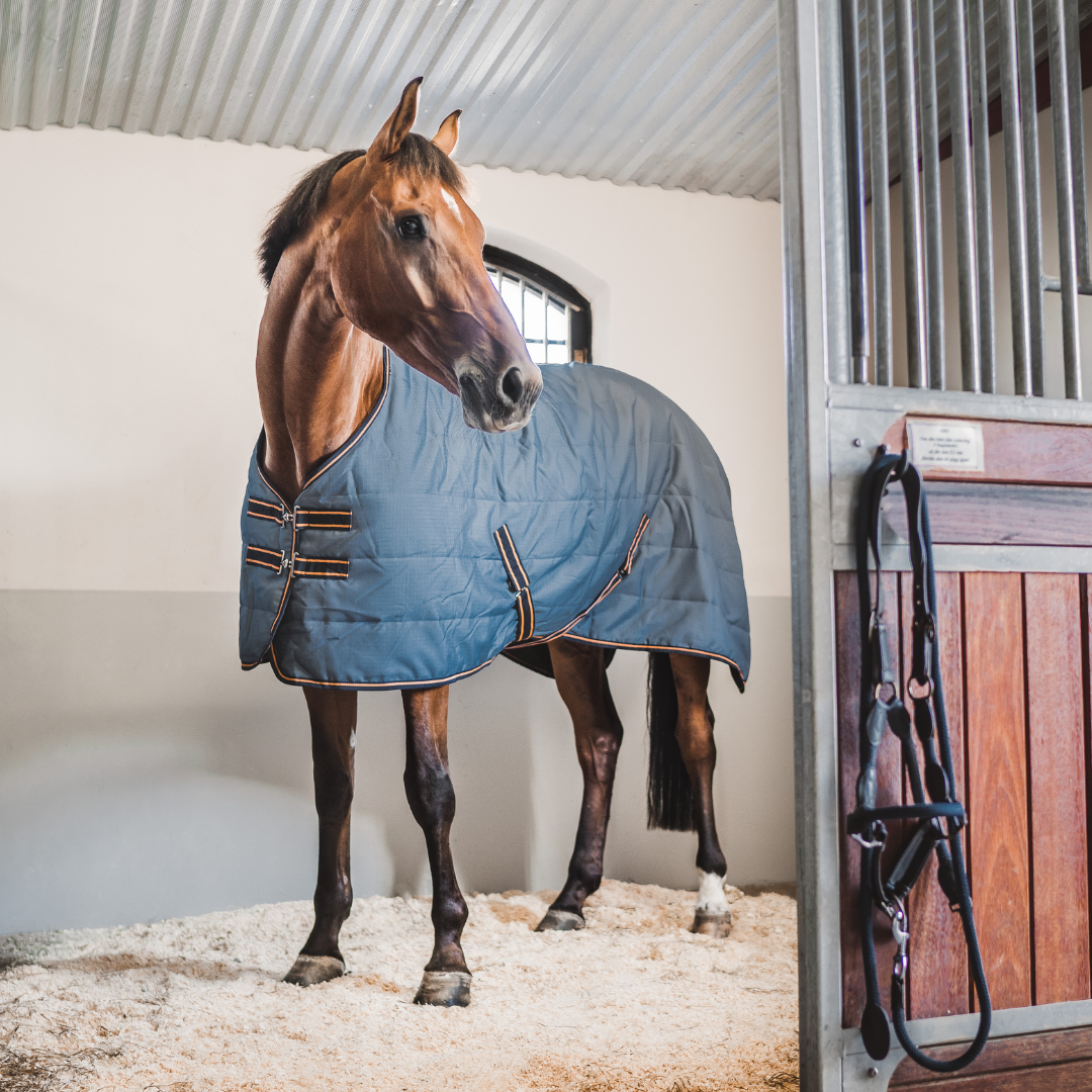 Hyltarp Stable Rug Blaze 200g China blue