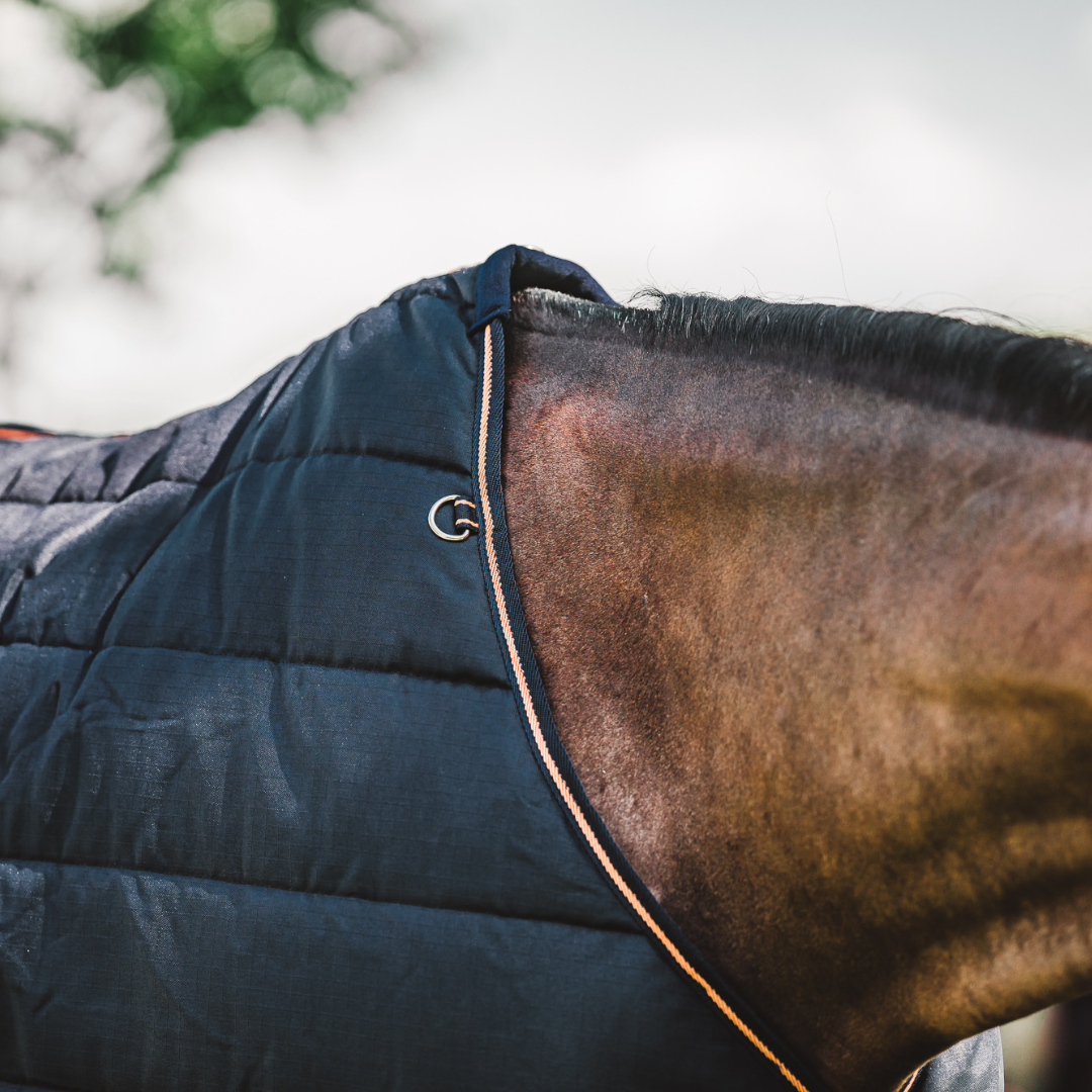 Hyltarp Stable Rug Blaze 200g Salute blue