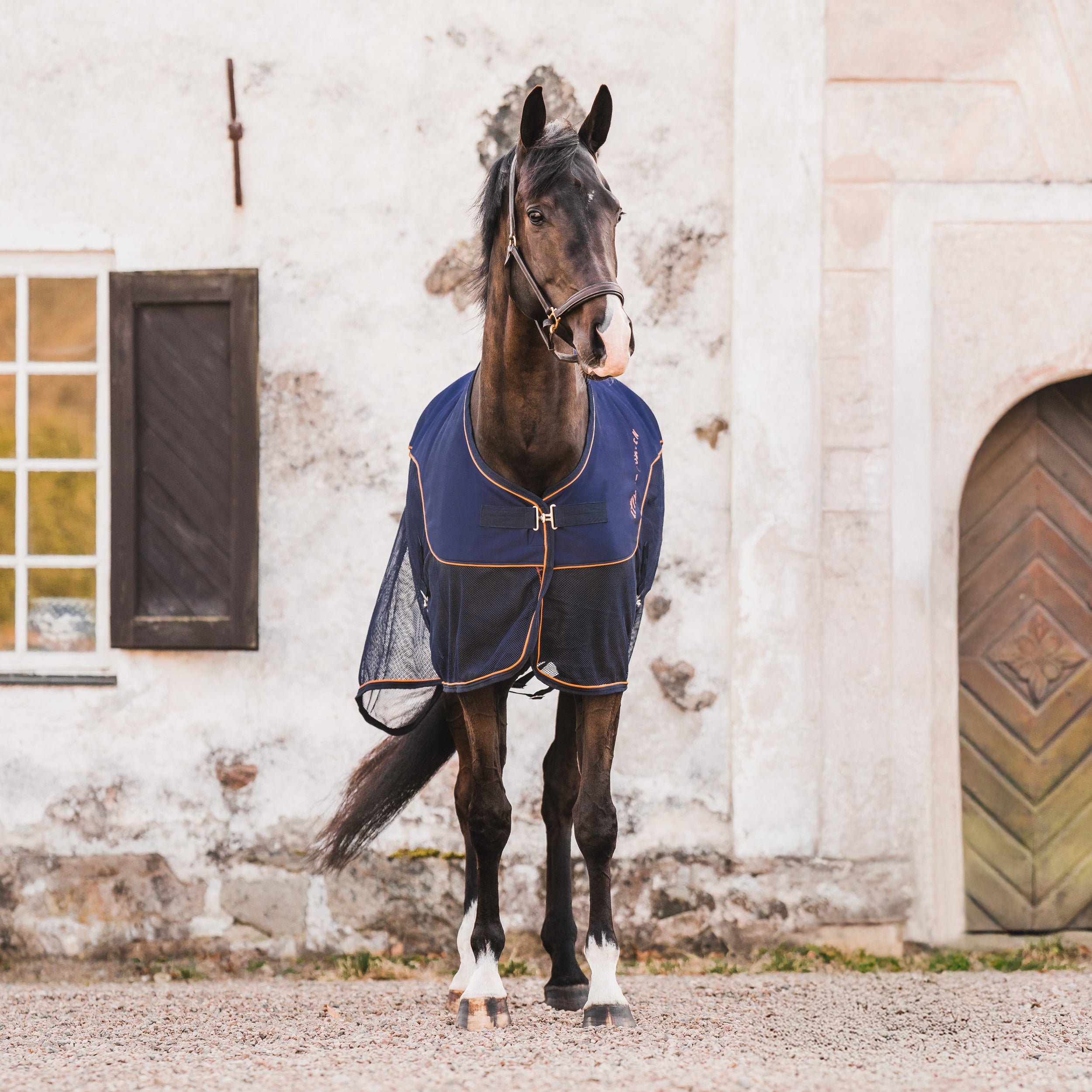 Hyltarp Softshell Competition Navy Blue