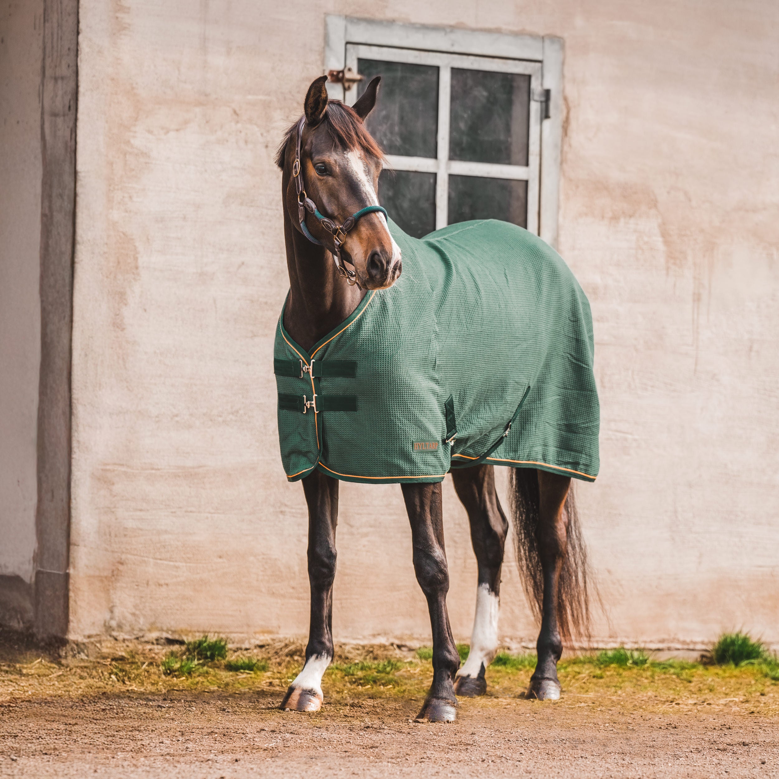 Hyltarp Waffle Dry Military Green