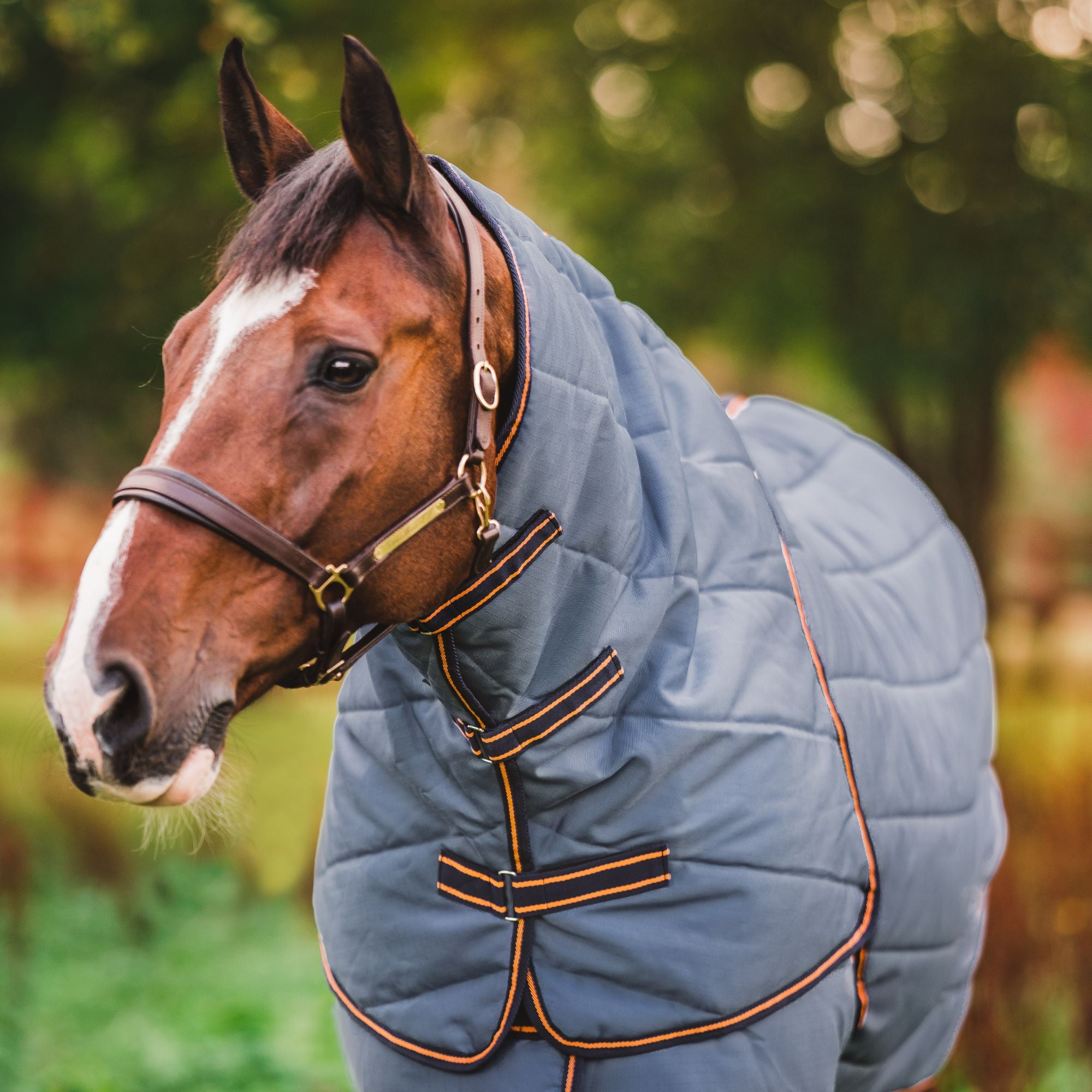 Hyltarp Stable Neck cover 200 g China blue