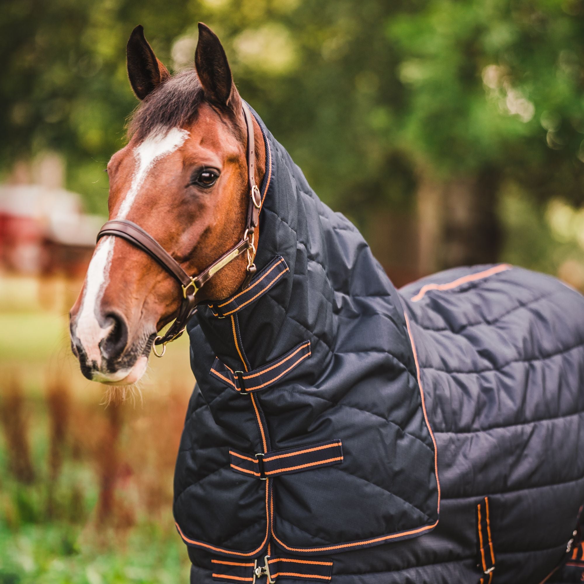 Couvre-cou pour couvertures d’écurie Blaze & Alice