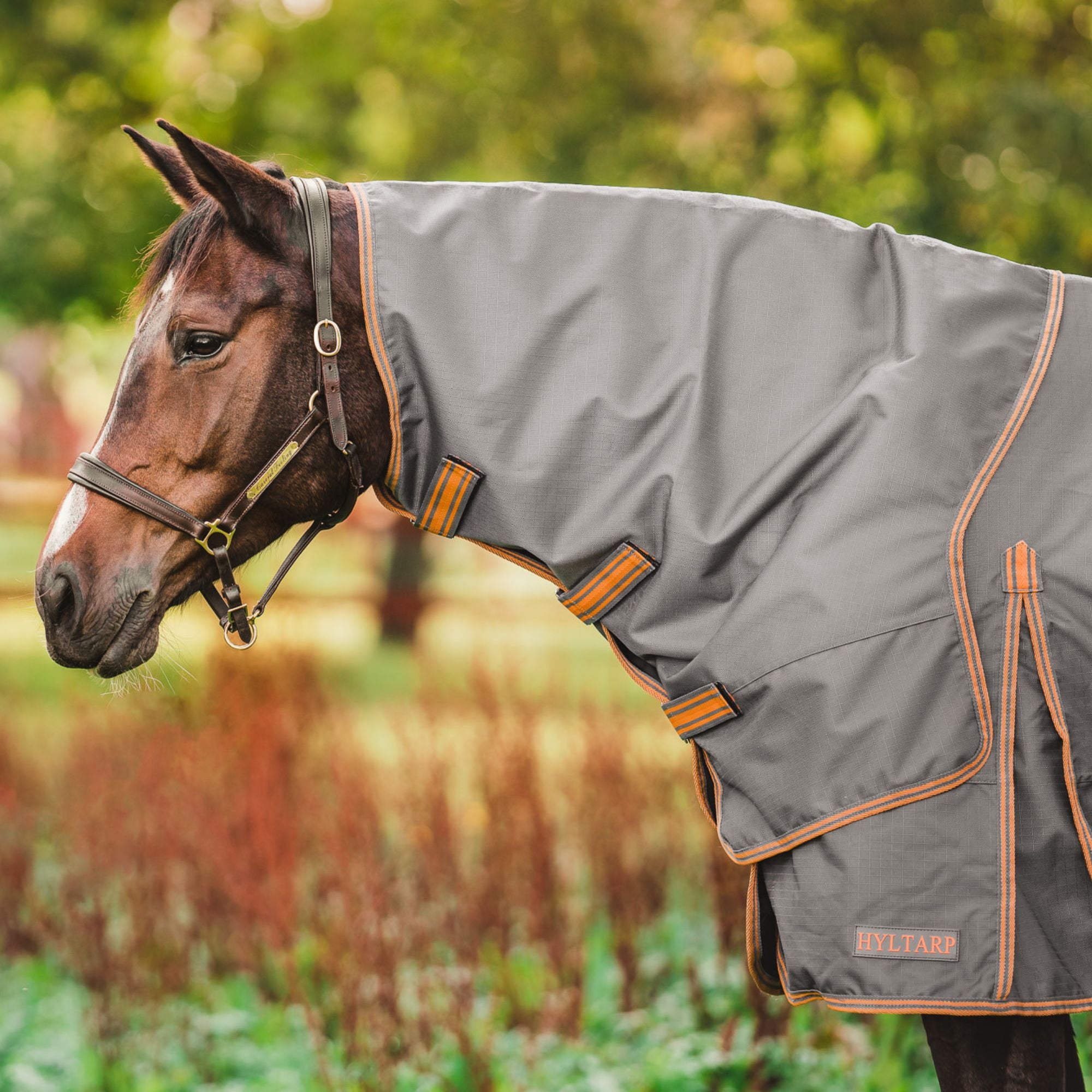 Hyltarp Hals Regntäcke Dusty 0 g