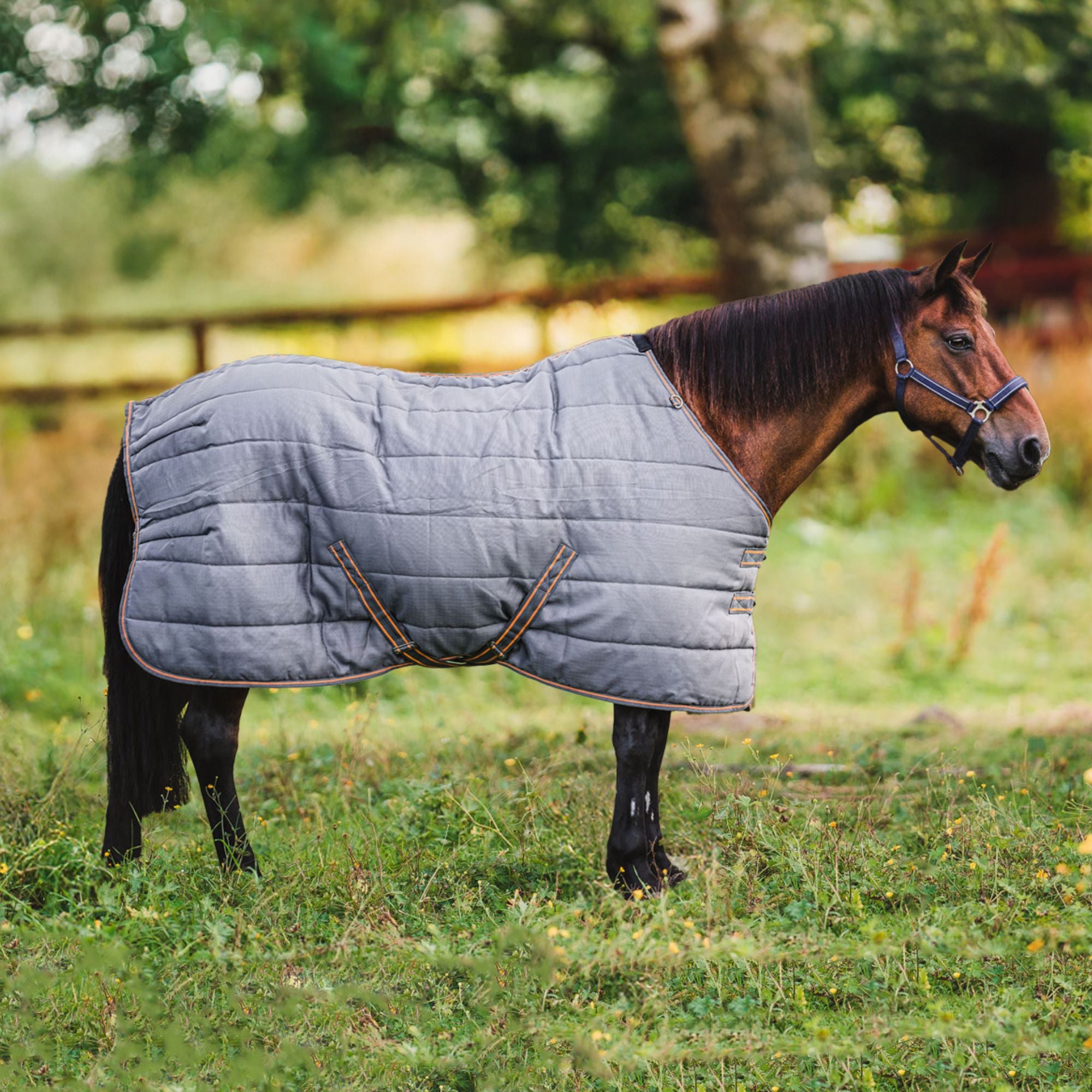 Hyltarp Stable Rug Blaze 200g Castor grey