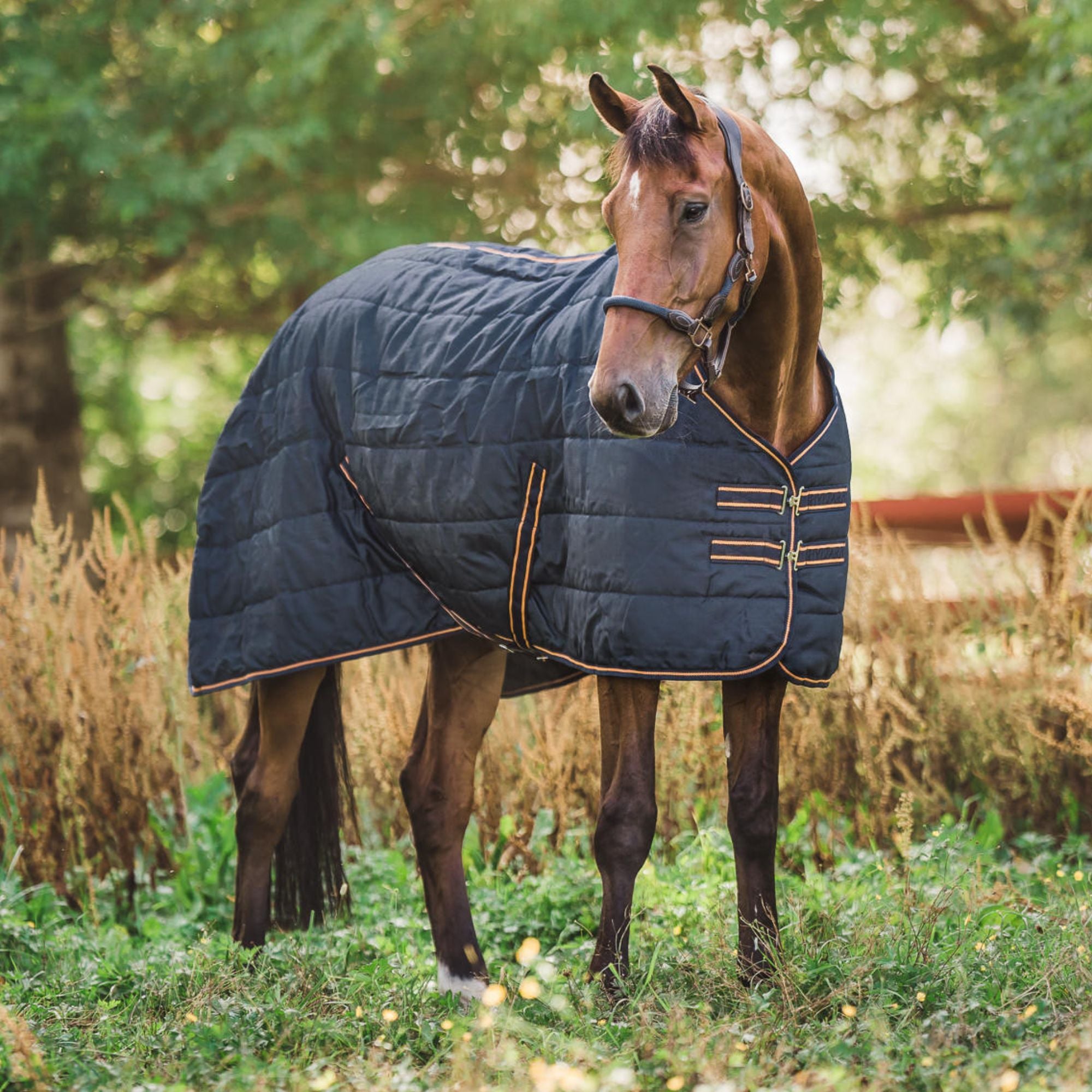 Hyltarp Stable Rug Blaze 200g Salute blue