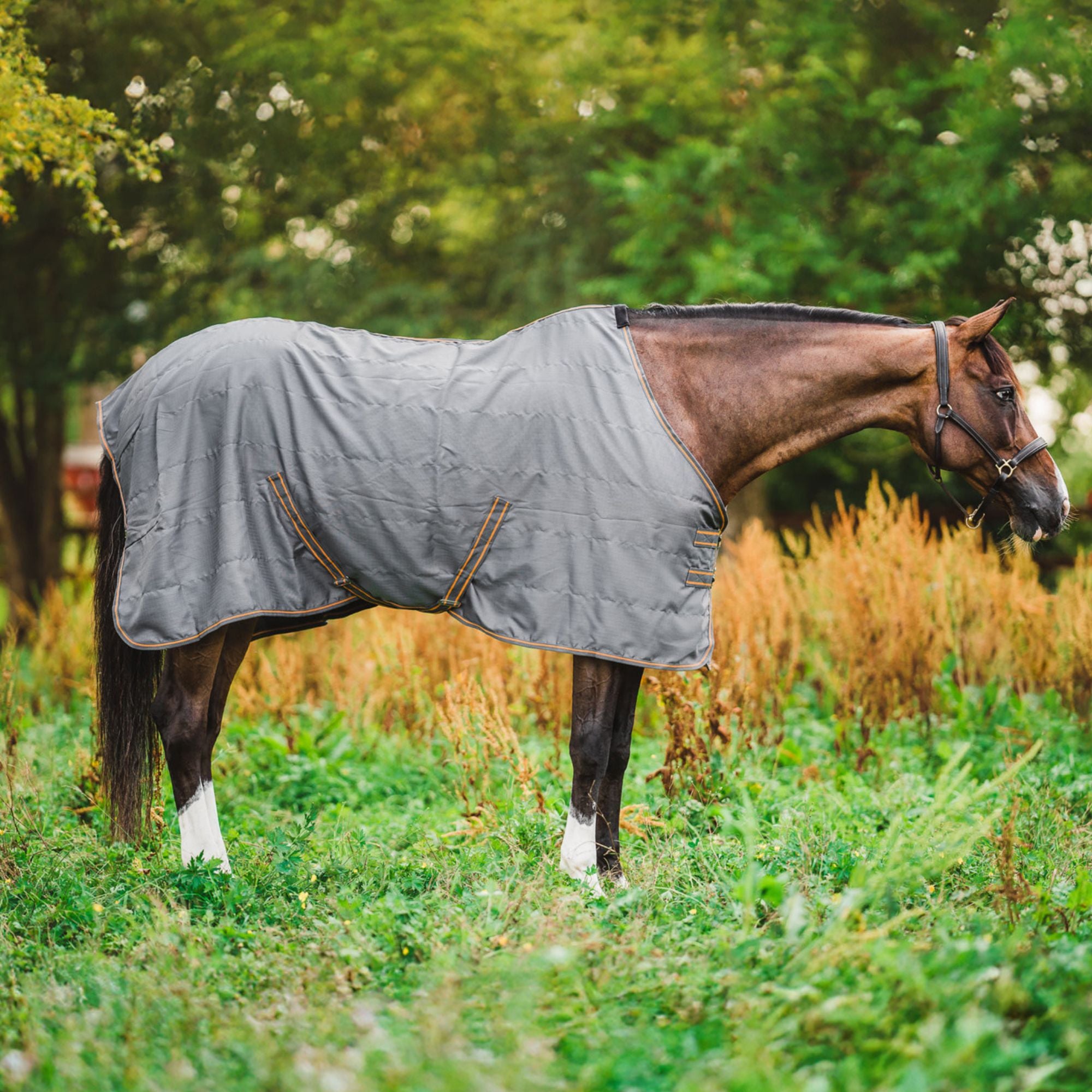 Hyltarp Stable Rug Niki 0 gram Castor grey