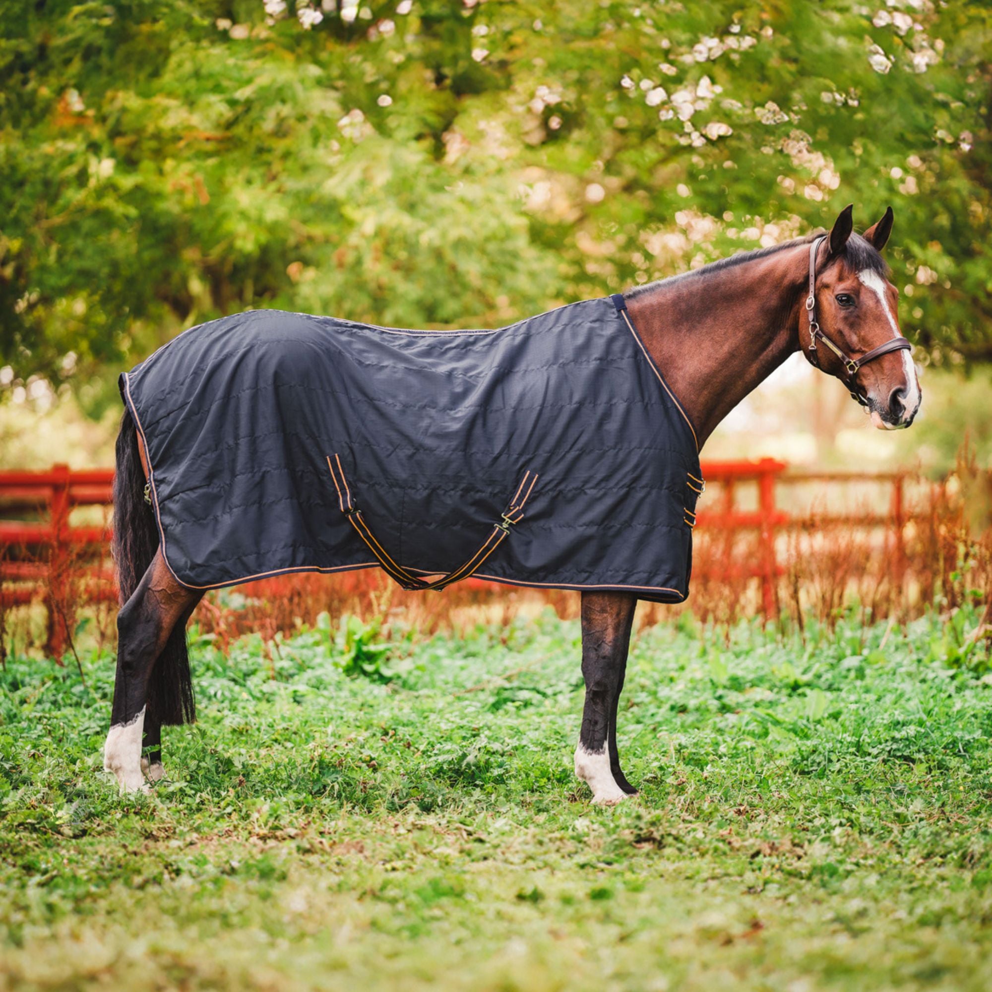 Hyltarp Stable Rug Niki 0 gram Salute blue