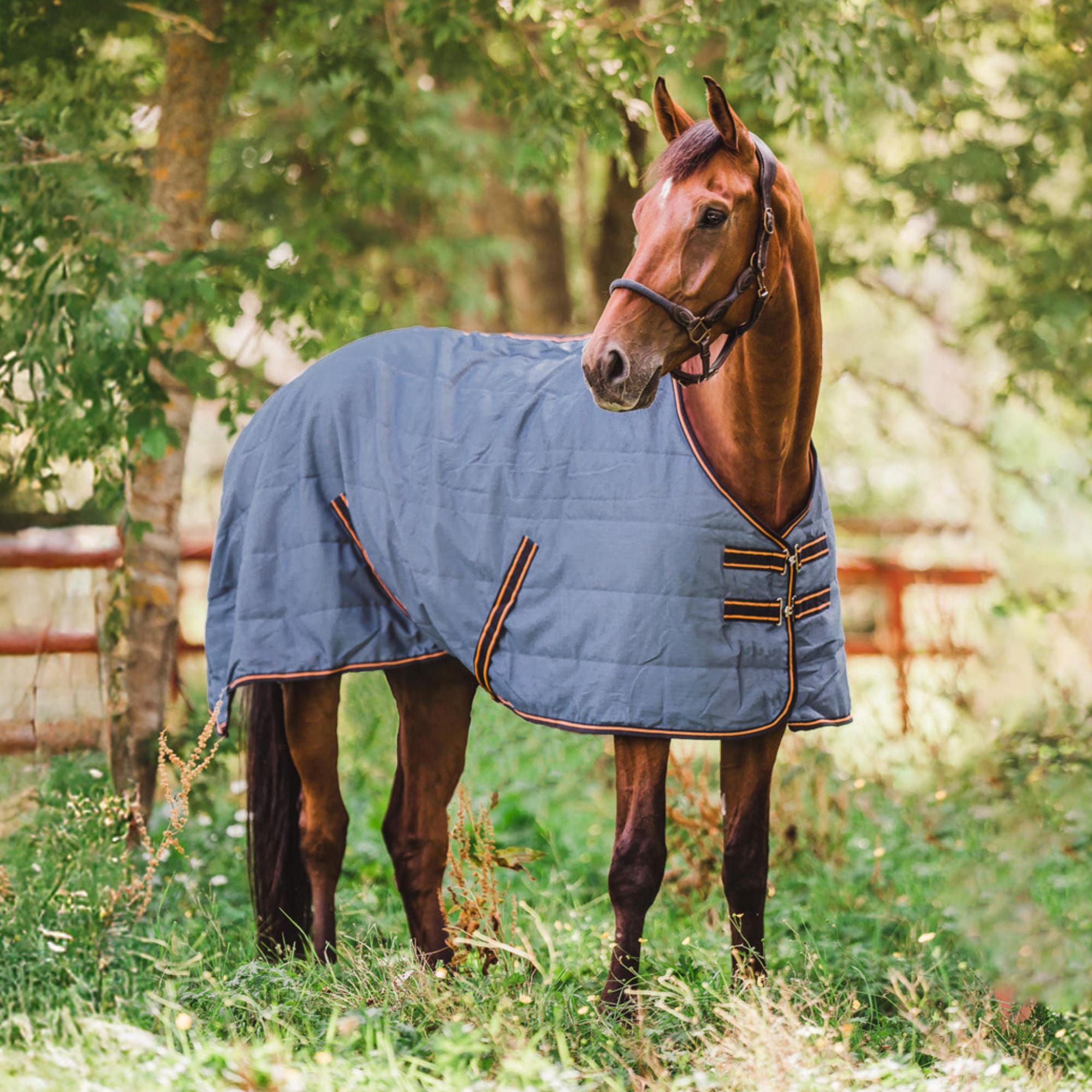 Hyltarp Stalltäcke Razzla 100g China Blue