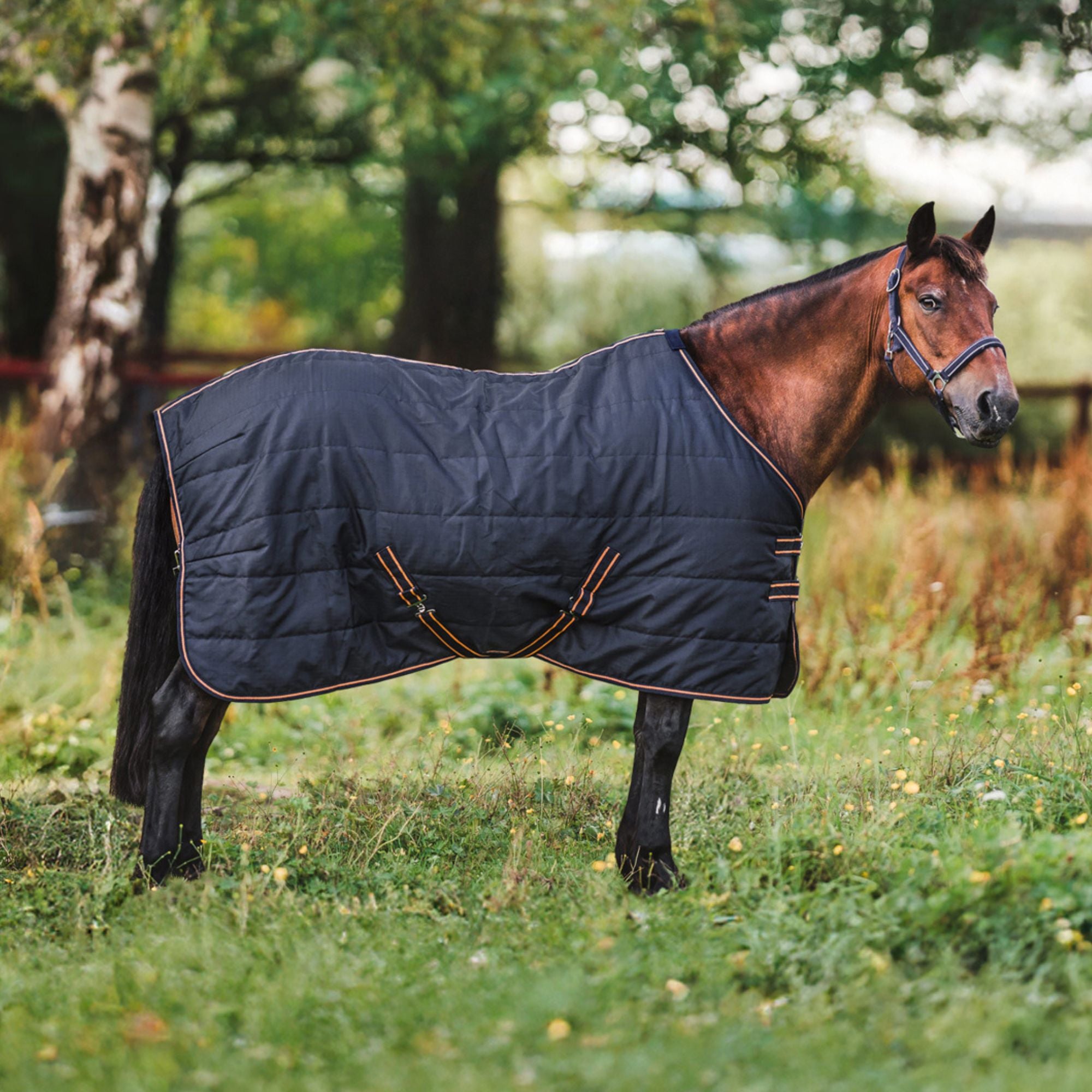 Hyltarp Stalltäcke Razzla 100 g Salute Blue