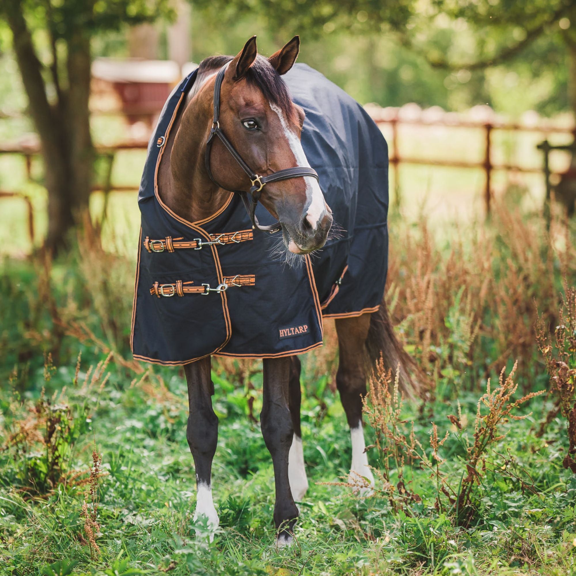 Hyltarp Utetäcke Caisa 250 g