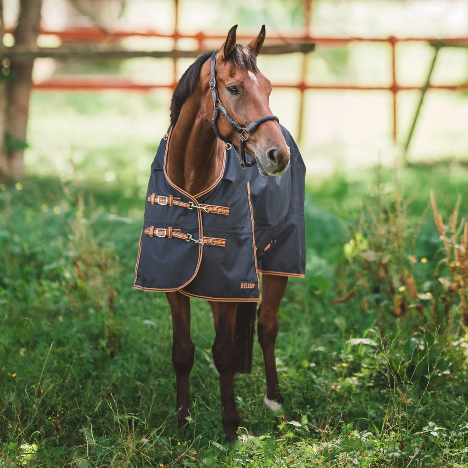 Hyltarp Regntäcke Dusty 0 g #farg_salute-blue,fr:couleur_salute-blue,en:color_salute-blue,da:farve_salute-blue,nl:kleur_salute-blue,de:farbe_salute-blue,es:color_salute-blue,it:colore_salute-blue,fi:vari_salute-blue,nb:farge_salute-blue