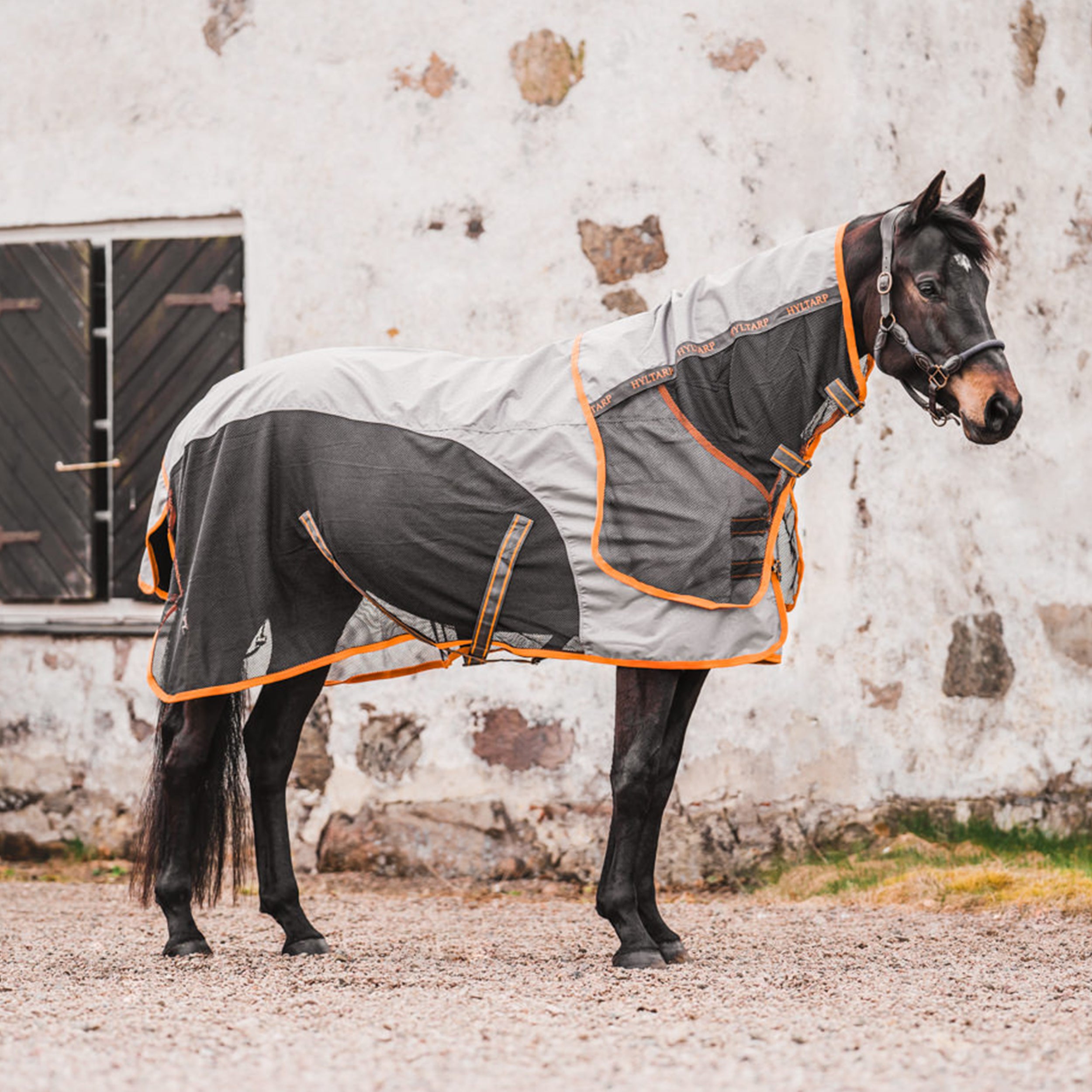 Hyltarp Summer Rain Alloy