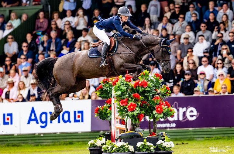 Med Falsterbo i backspegeln