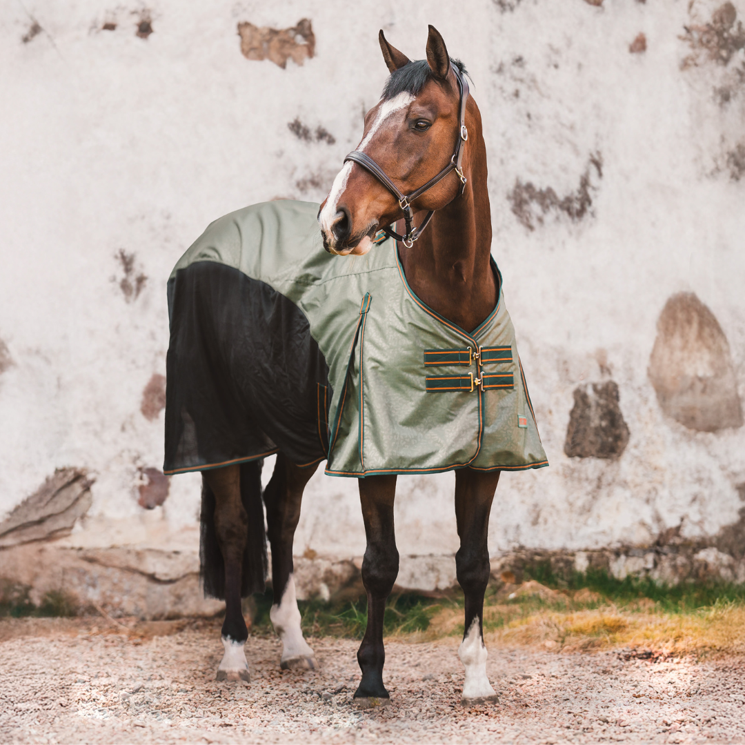 Rain Bug Combo