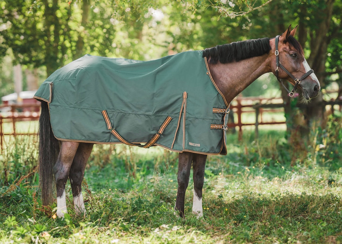 Turnout Rug Dusty 0 gram