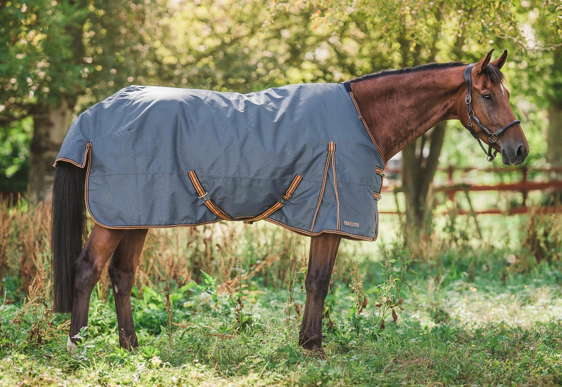 Turnout Rug Caisa 250 grams