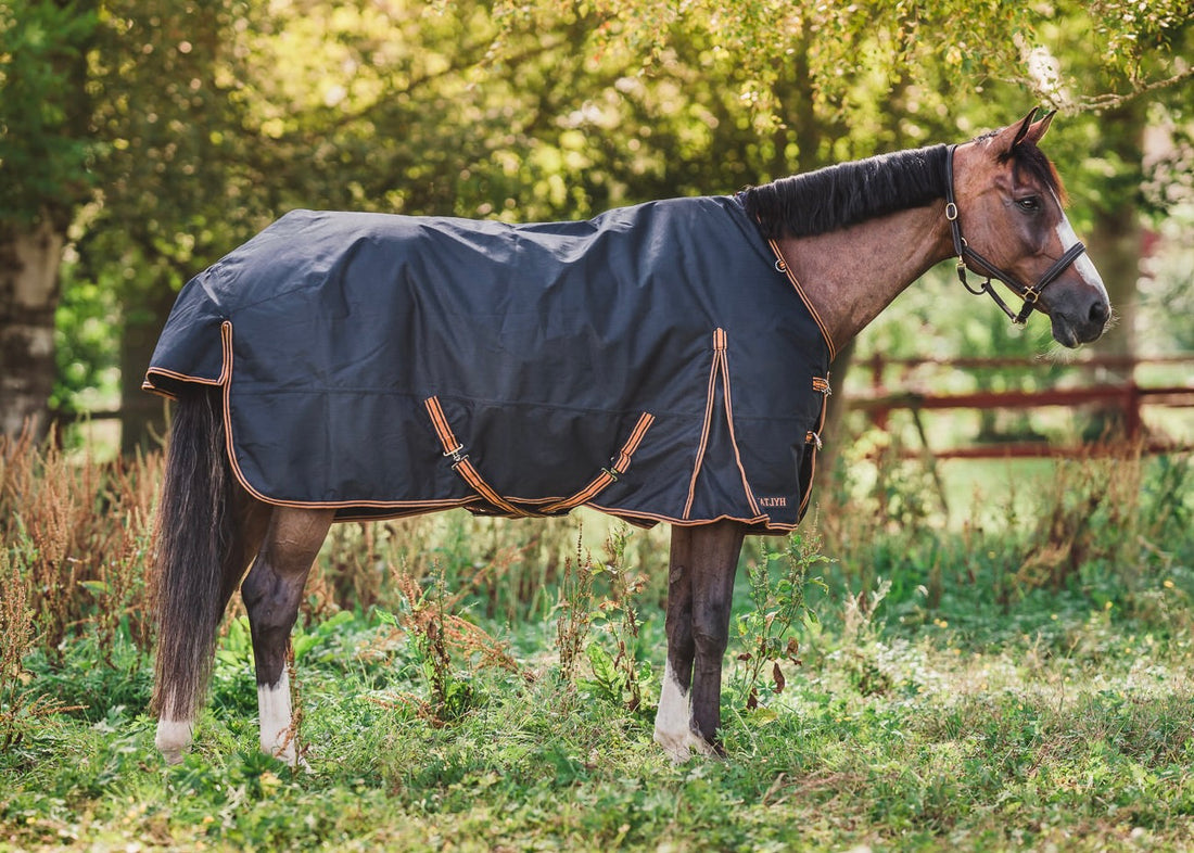 Turnout Rug Caisa 250 grams