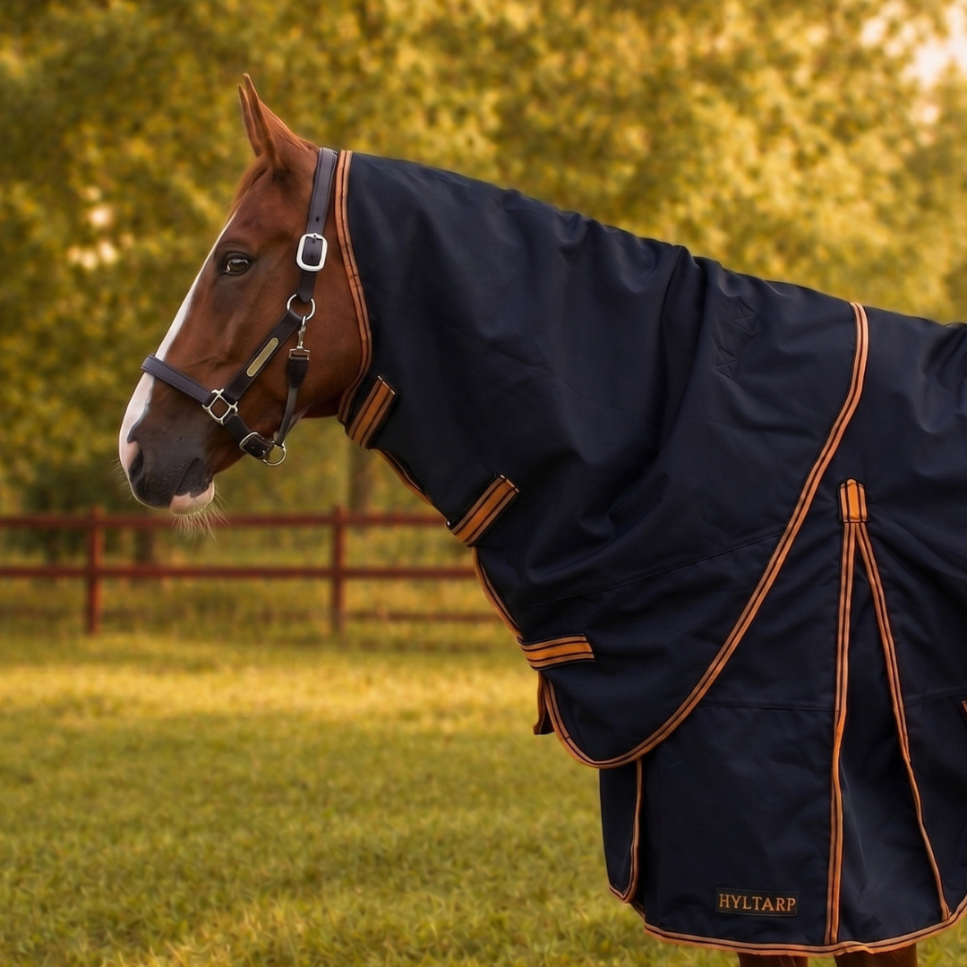 Hyltarp neck cover caisa 250g salute blue 