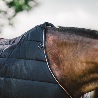 Hyltarp Stable Rug Blaze 200g Salute blue 