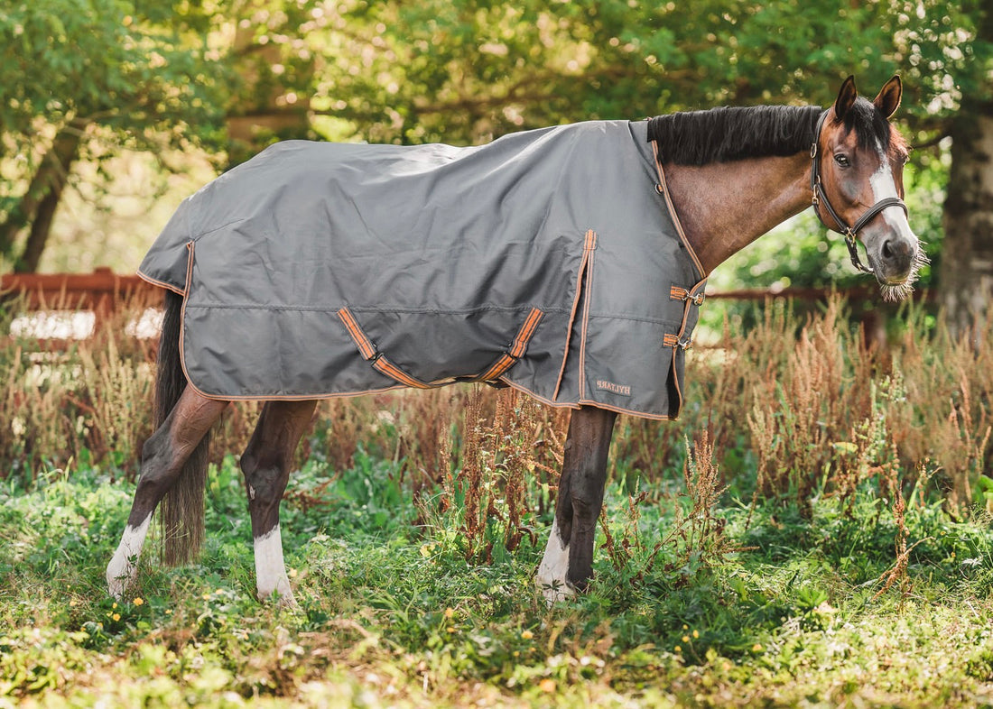 Turnout Rug Caisa 250 grams