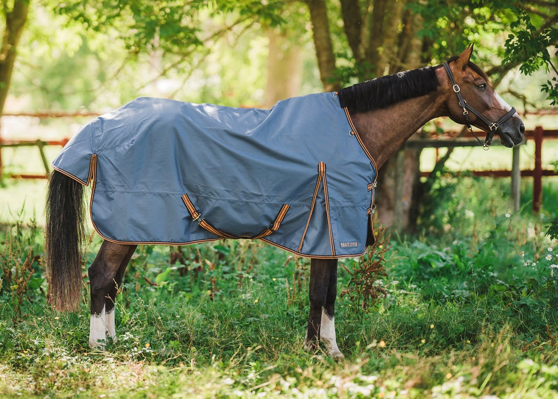 Turnout Rug Dusty 0 gram