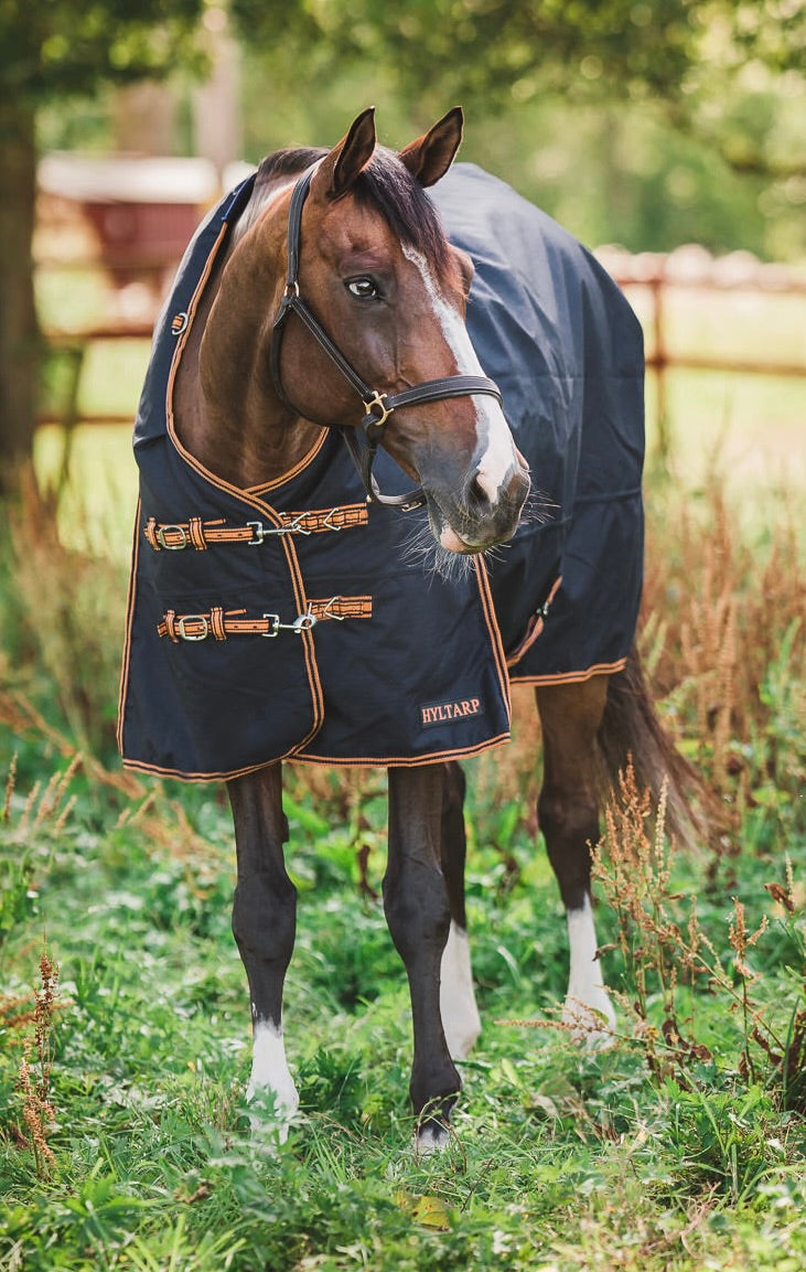 Turnout Rug Caisa 250 grams