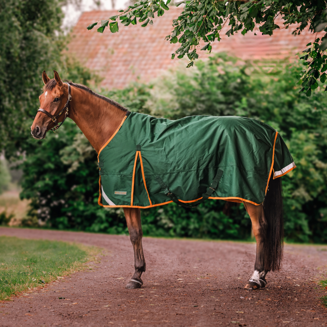 Hyltarp Outdoor Classic 50g
