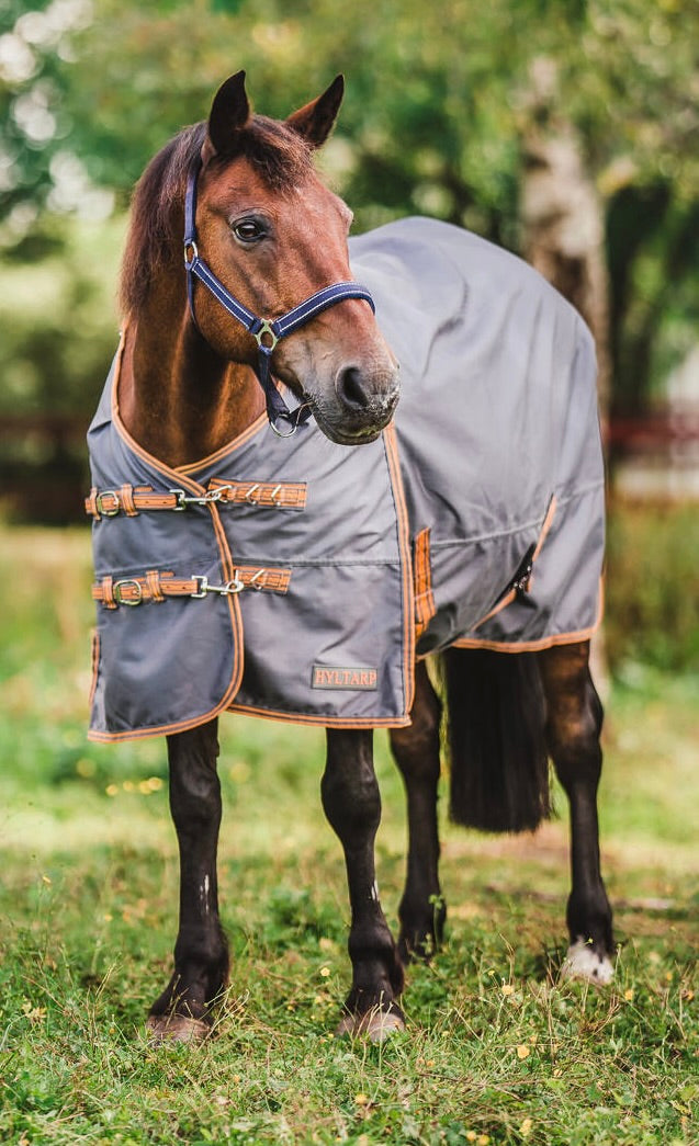 Turnout Rug Dusty 0 gram