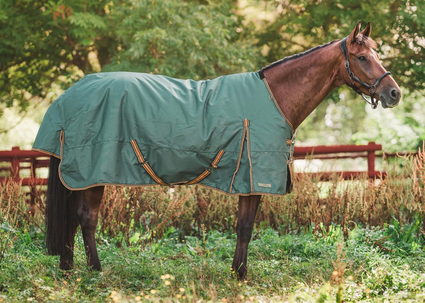 Turnout Rug Caisa 250 grams