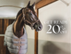 Blaze 200g