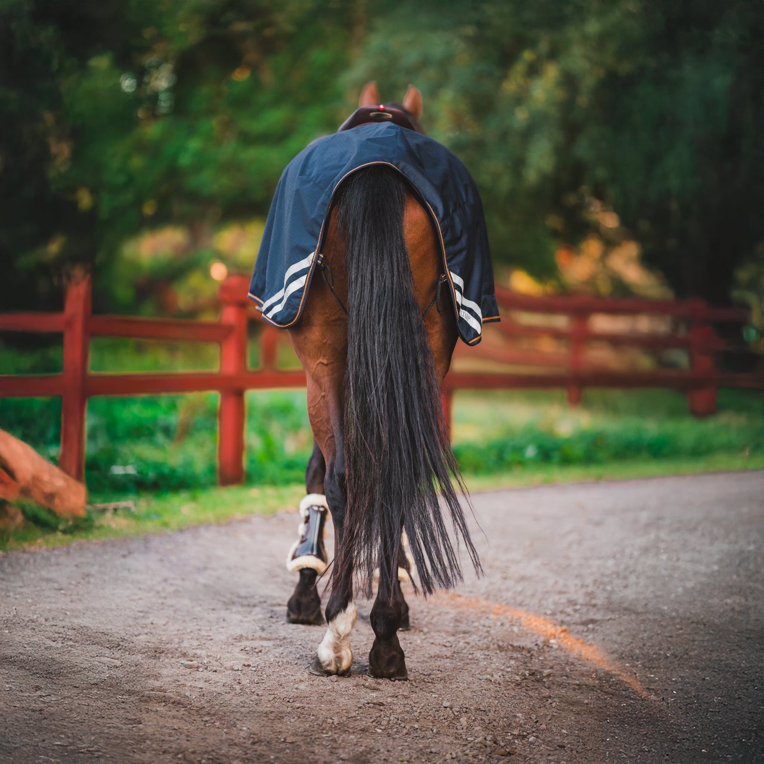 Hyltarp Ridtäcke Blå