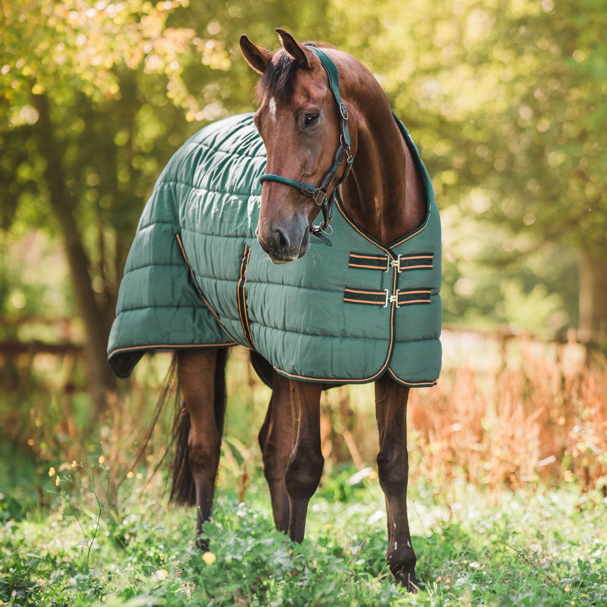 Hyltarp Stable rug Alice 400g military green