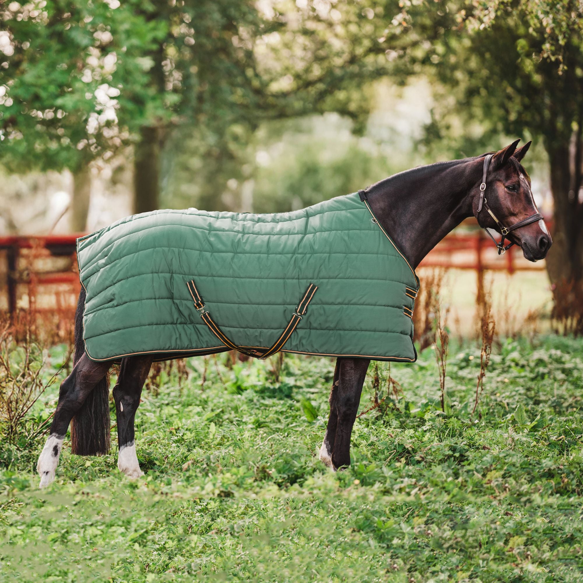 Hyltarp Stable rug Alice 400g military green