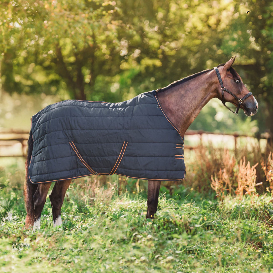 Hyltarp Stable Rug alice 400g salute bue