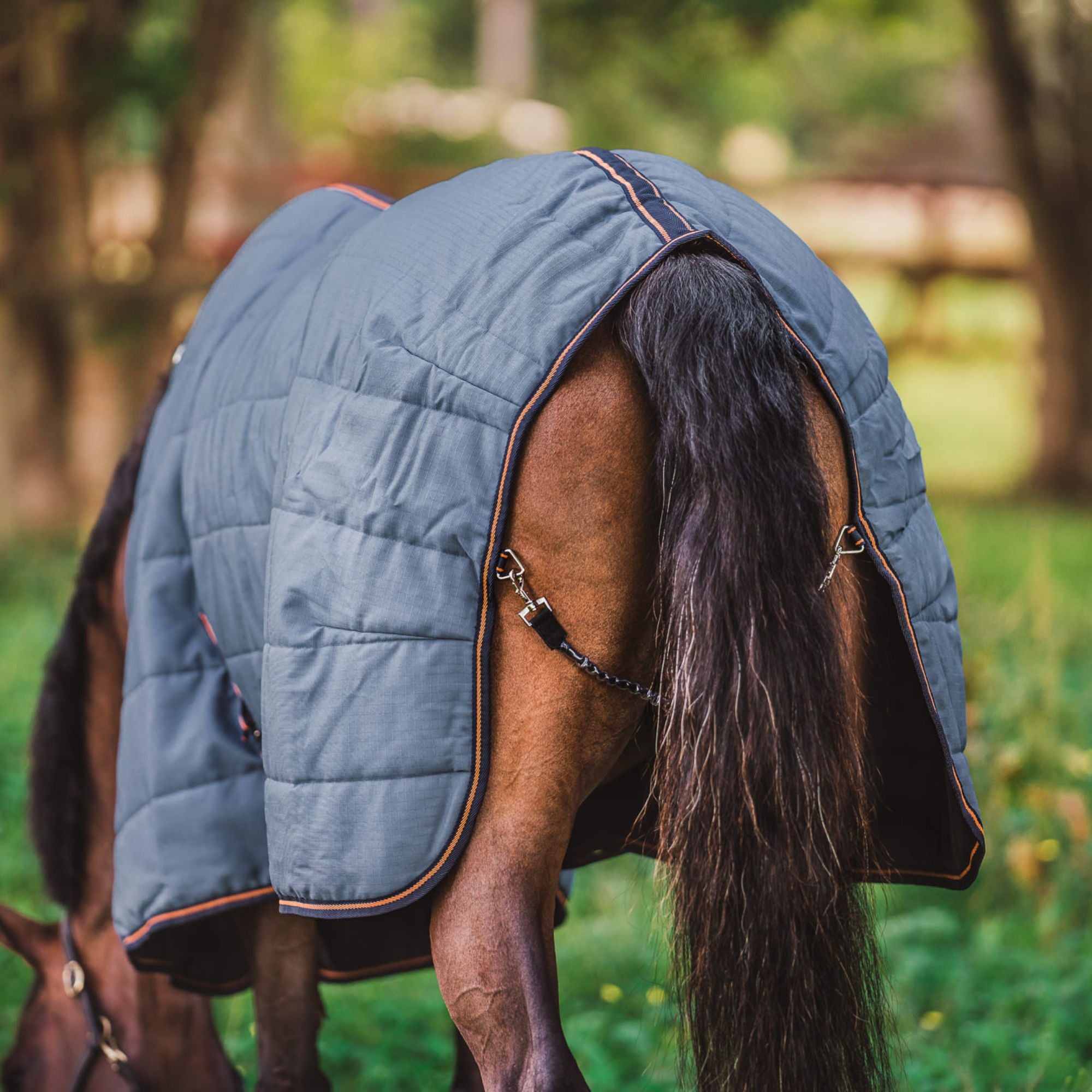 Hyltarp Stable rug Blaze 200g china blue