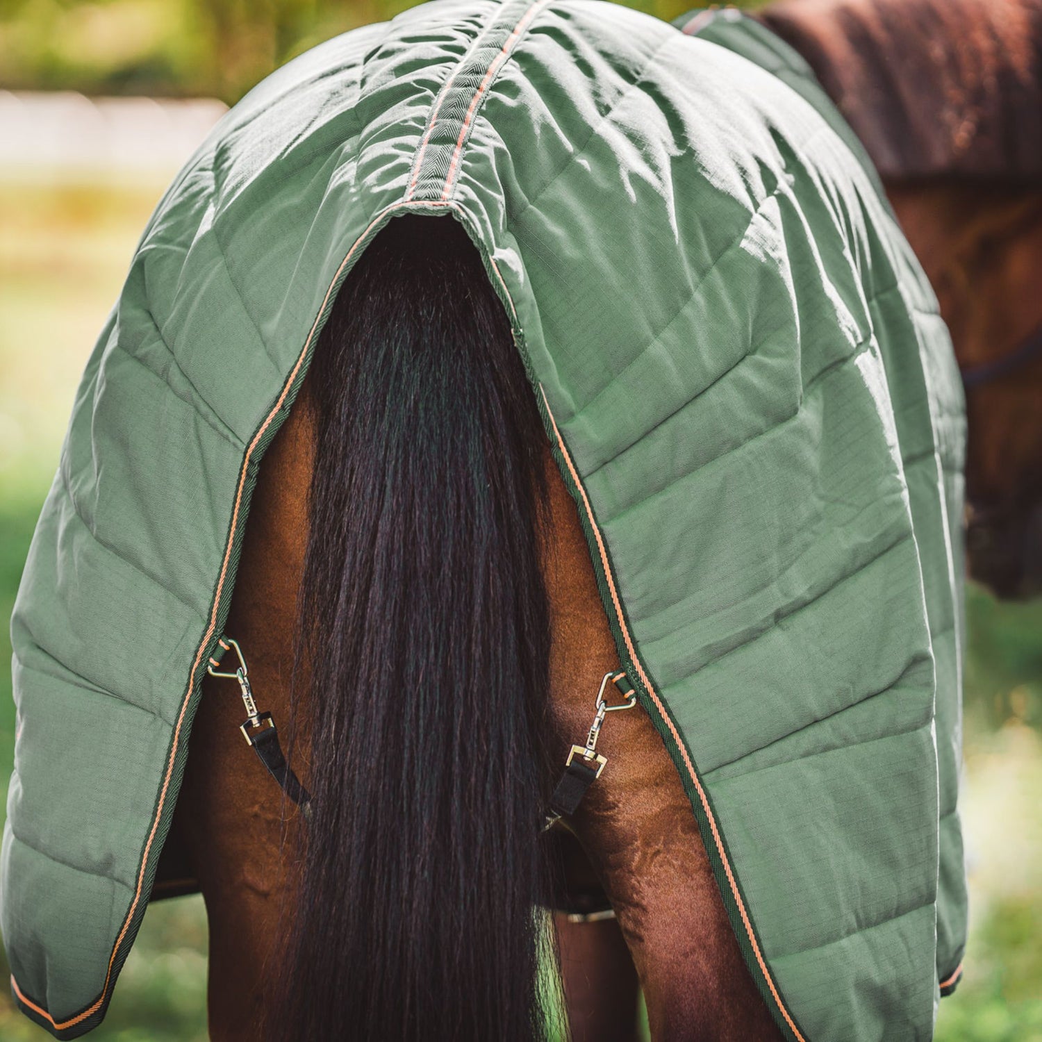 Hyltarp Stable rug Blaze 200g military green