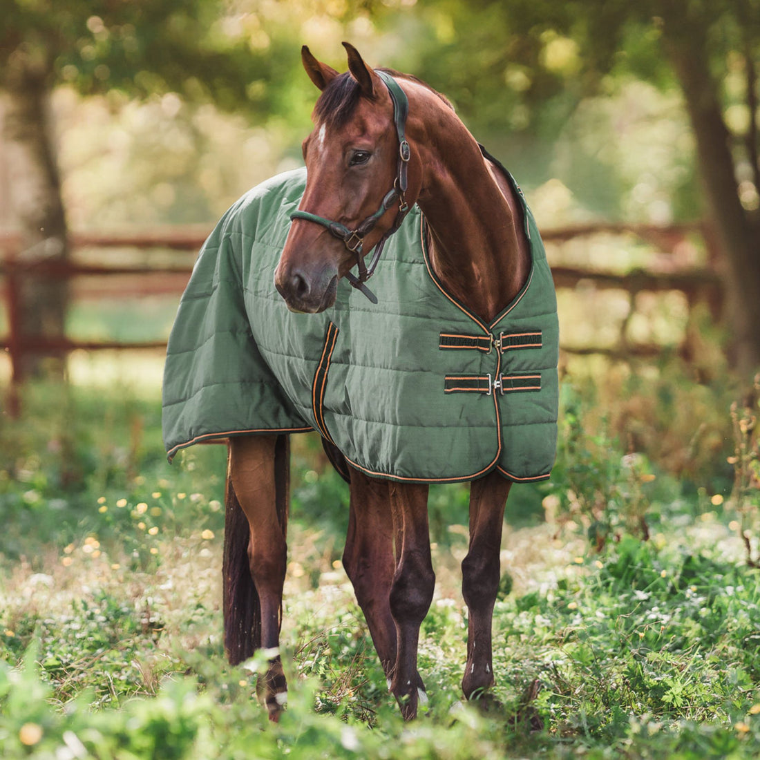 Hyltarp Stable rug Blaze 200g military green