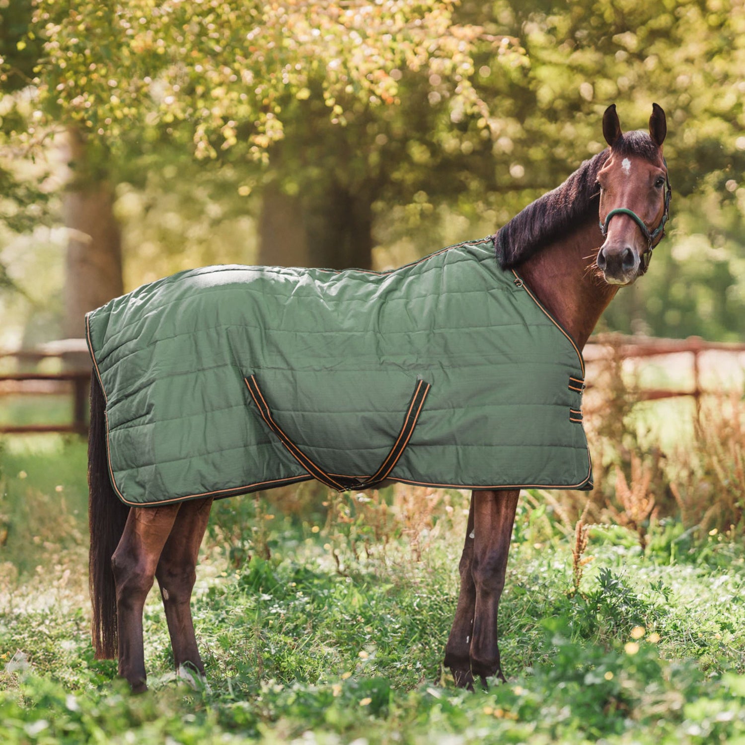 Hyltarp Stable rug Blaze 200g military green