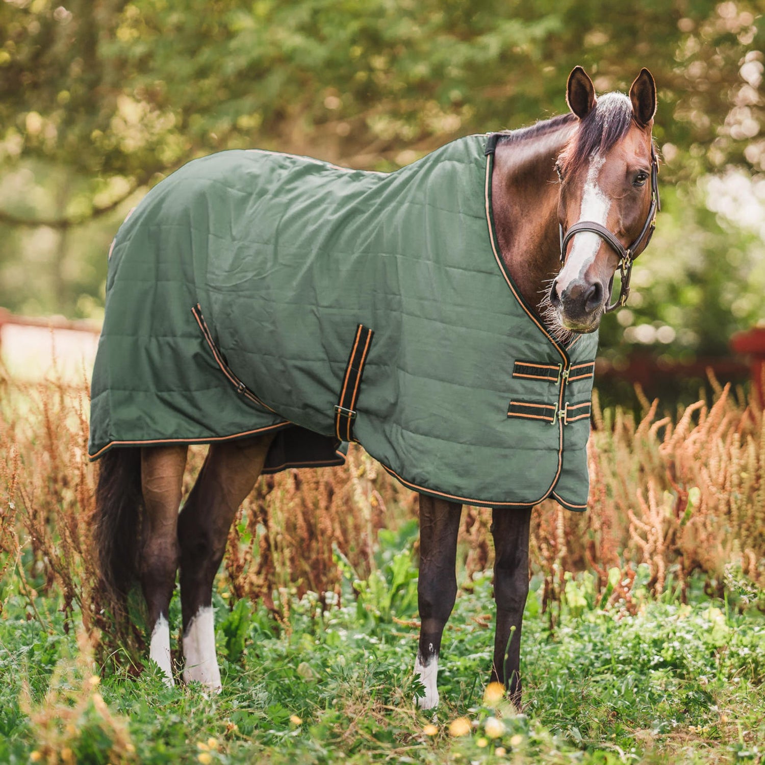 Hyltarp Stable rug Niki 0g military green