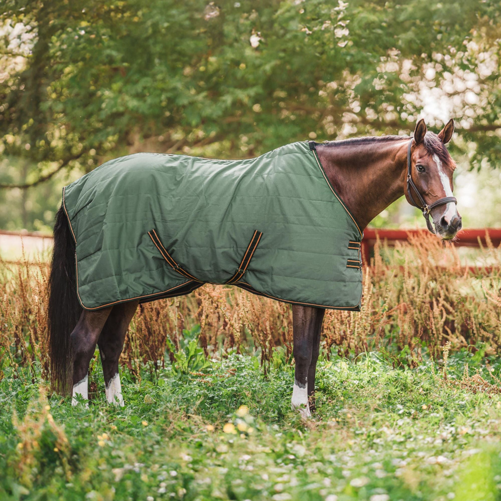 Hyltarp Stable rug Niki 0g military green