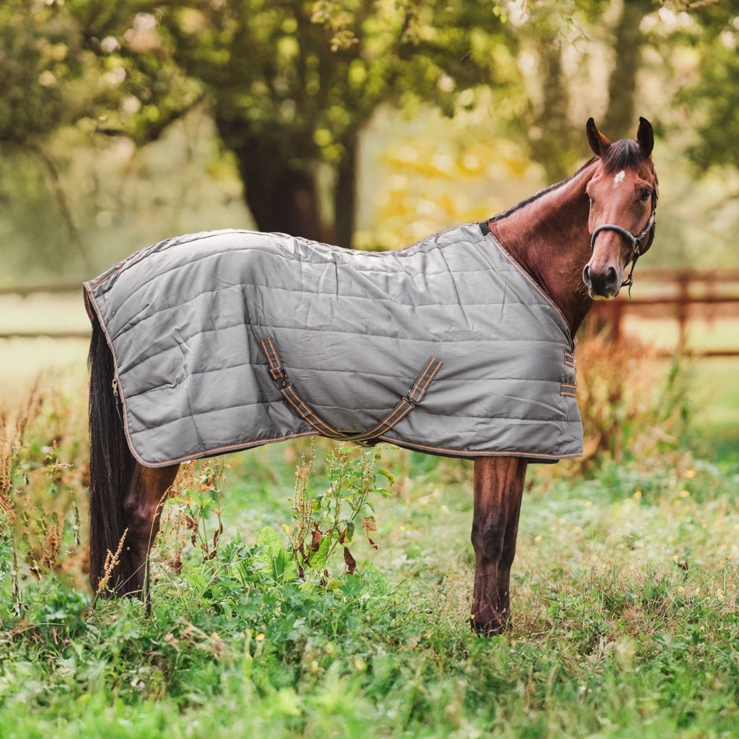 Hyltarp Stable rug Razzla 100g castor grey