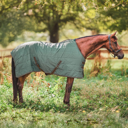 Hyltarp Stable rug Razzle 100g military green