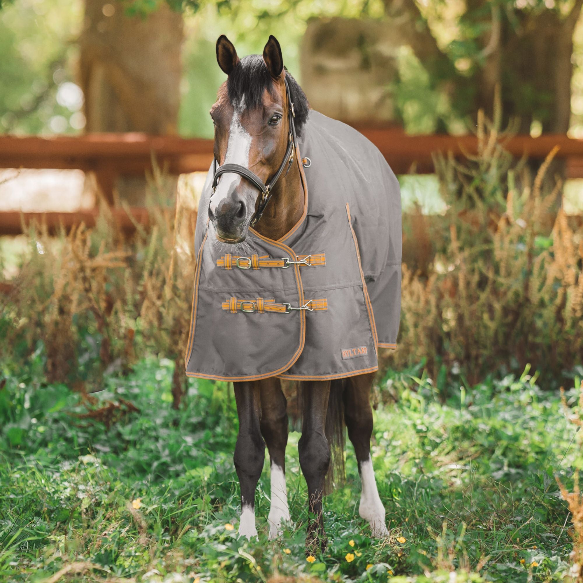 Hyltarp turnout rug caisa 250g castor grey