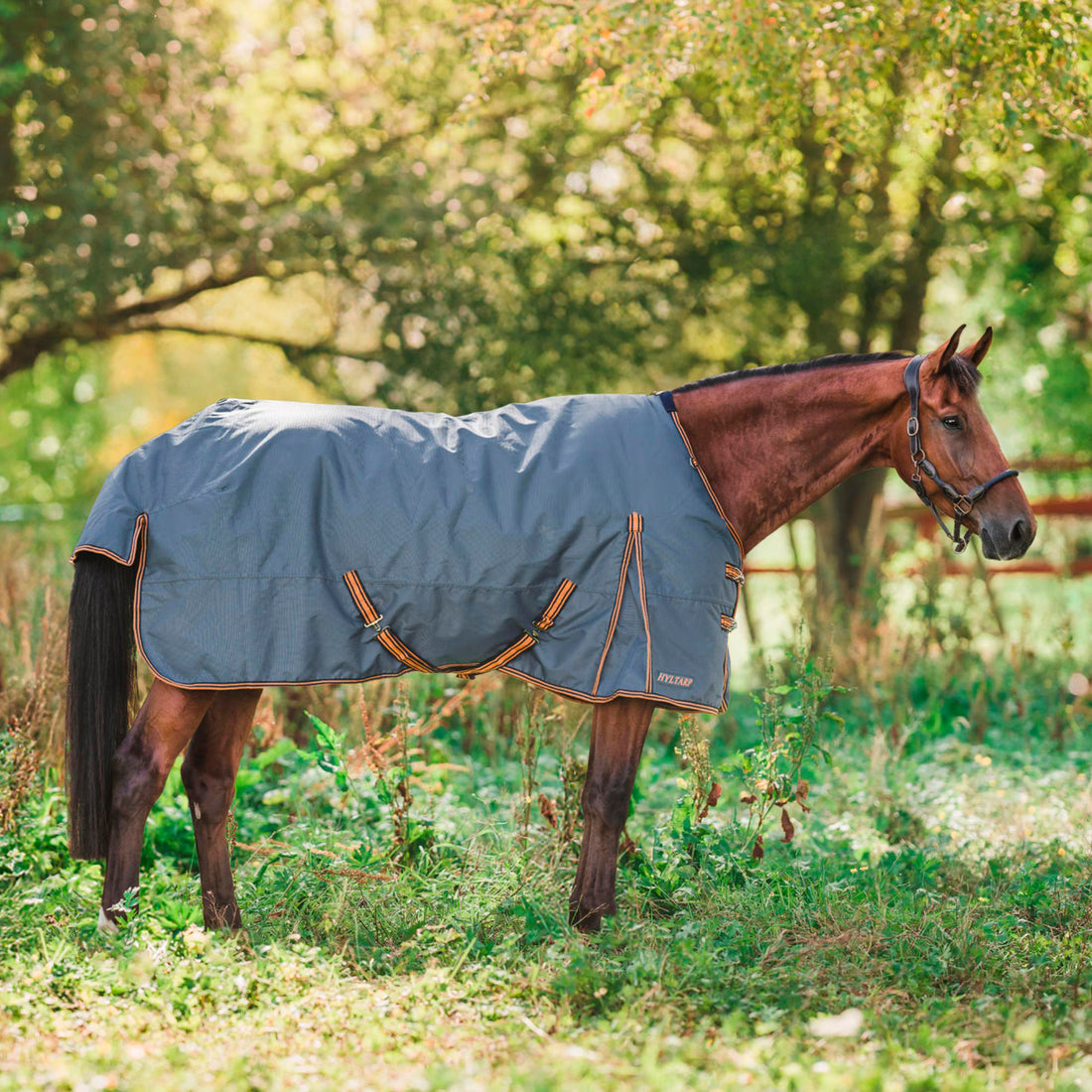 Hyltarp turnout rug Caisa 250g china blue