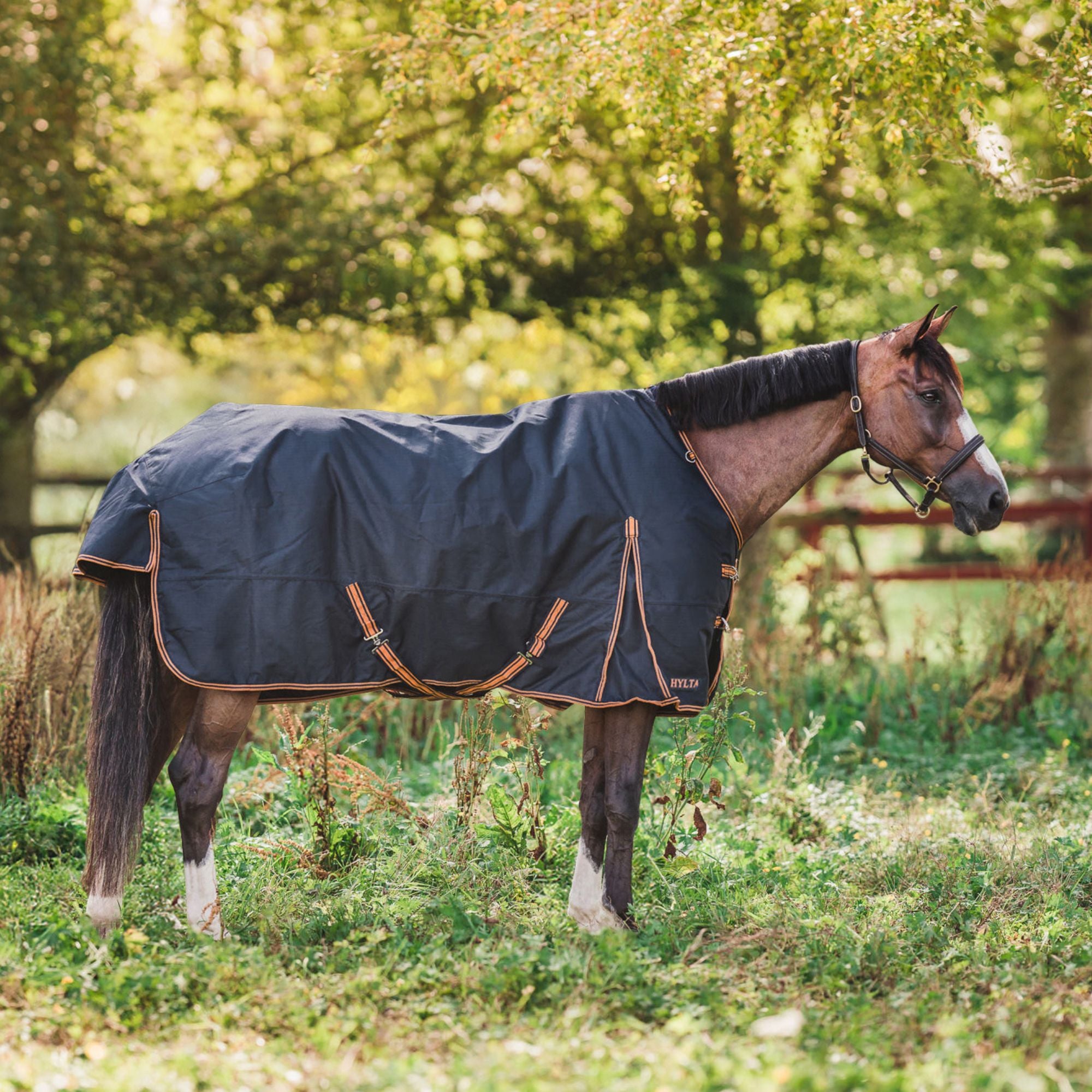 Hyltarp turnout rug Caisa 250g salute blue