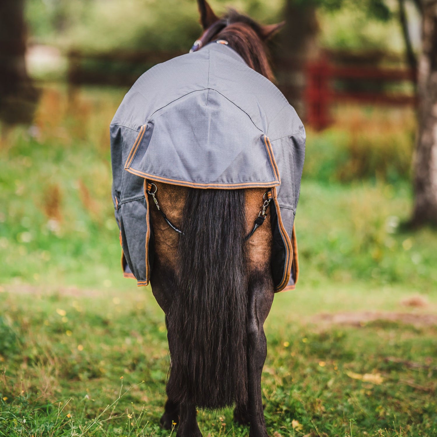 Hyltarp turnout rug Dusty 0g castor grey