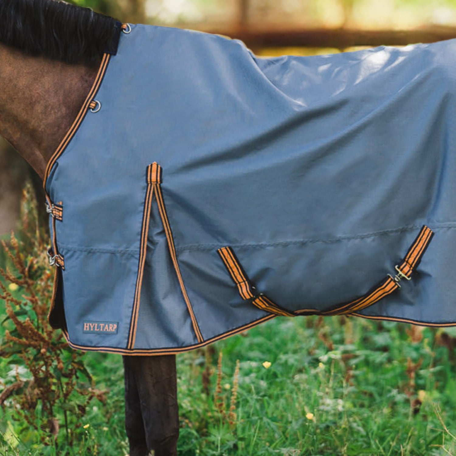 Hyltarp turnout rug Dusty 0g china blue