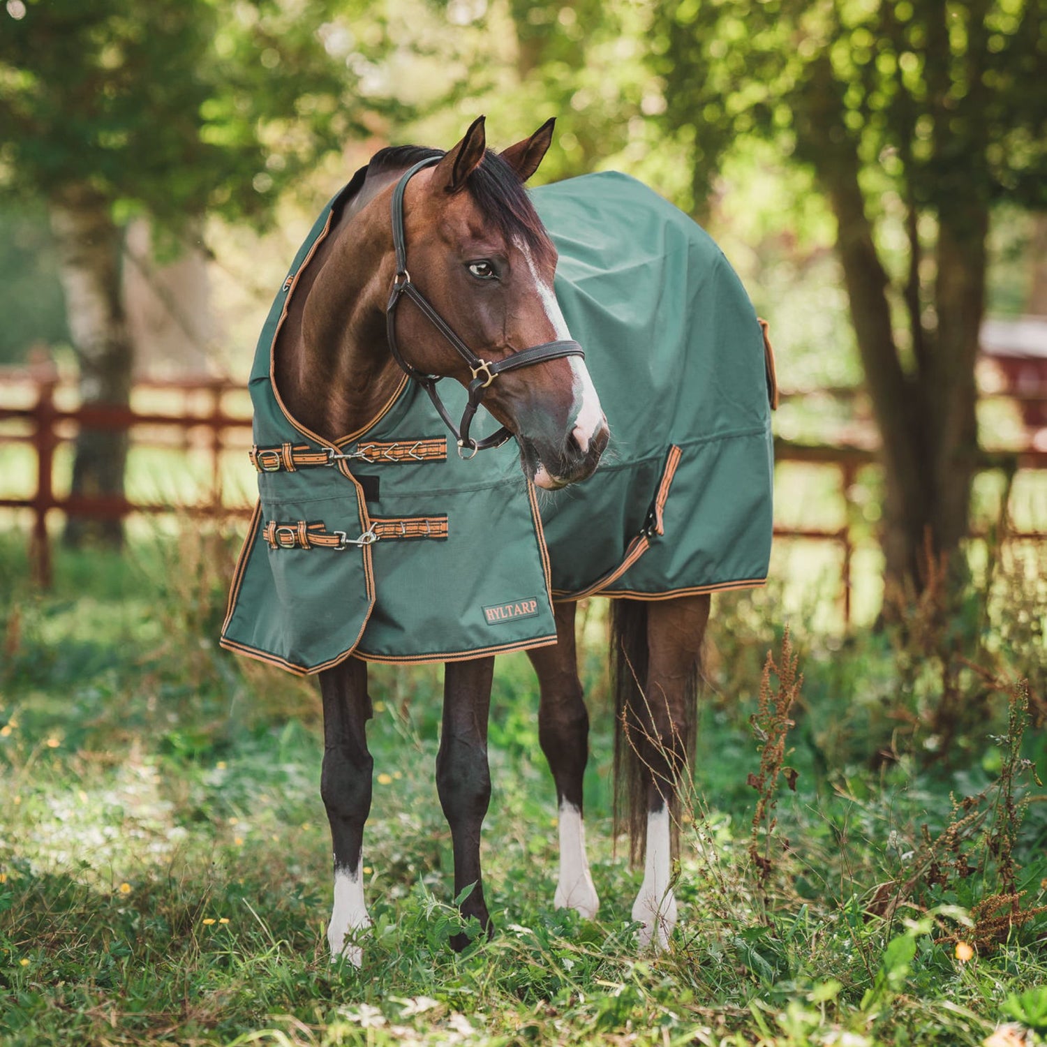 Hyltarp turnout rug Dusty 0g military green