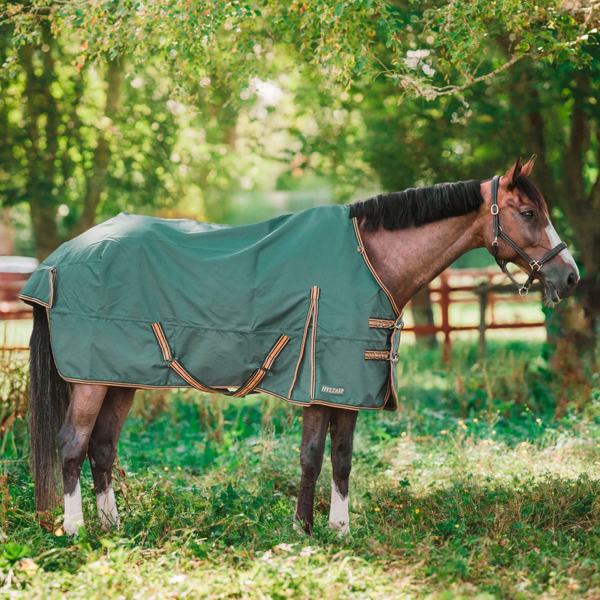 Hyltarp turnout rug Dusty 0g military green